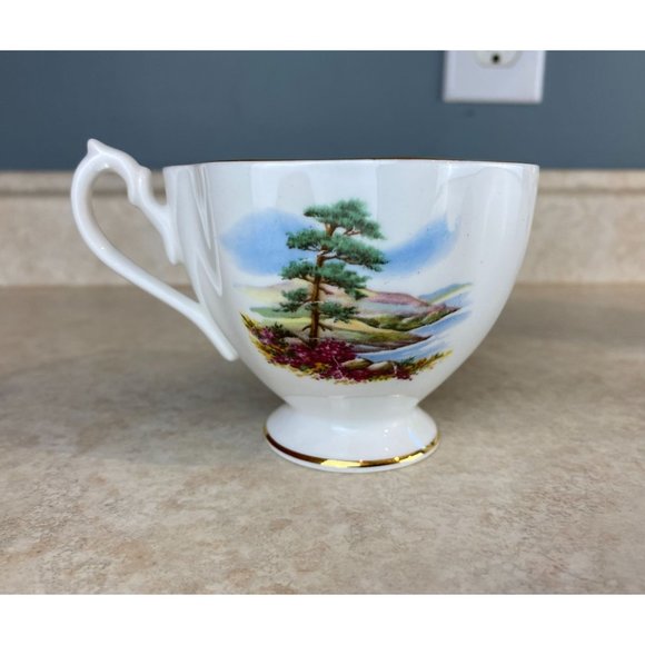 Queen Anne Ye Banks And Braes Bone China Tea Cup And Saucer Set - Picture 5 of 10